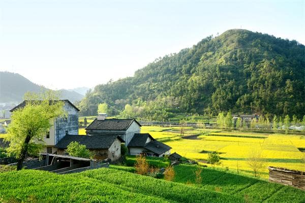 村民自治：实现乡村振兴的关键途径
