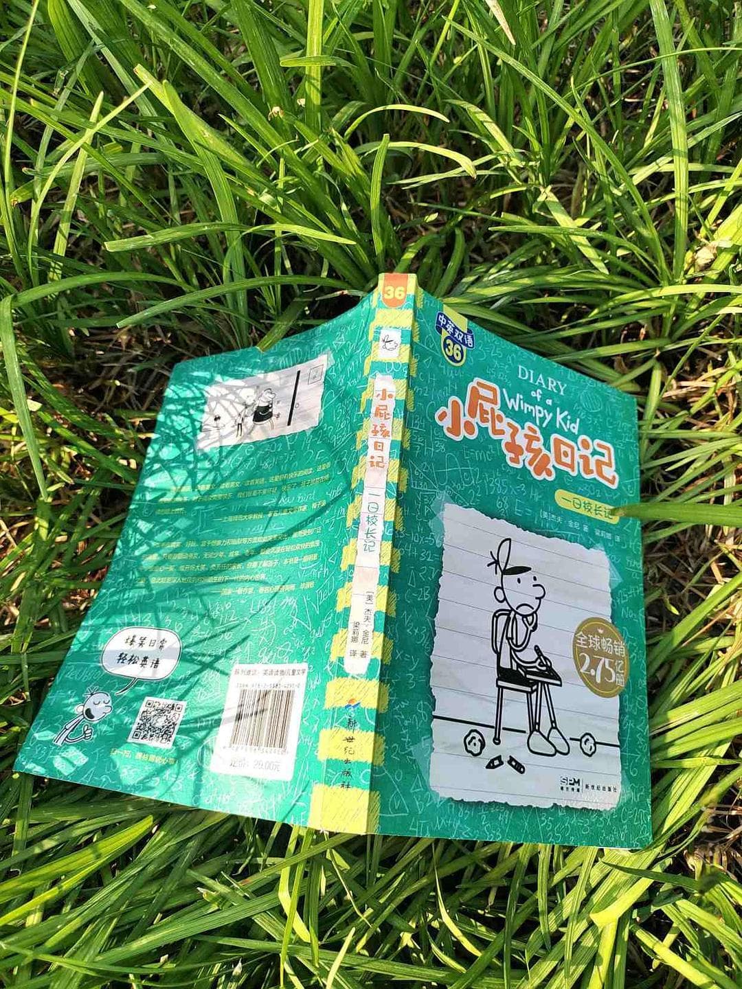 开眼界！一日校长的冒险：《小屁孩日记》中英双语版带来教育启示