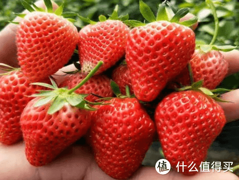 春季水果盛宴：滋养身心的自然馈赠