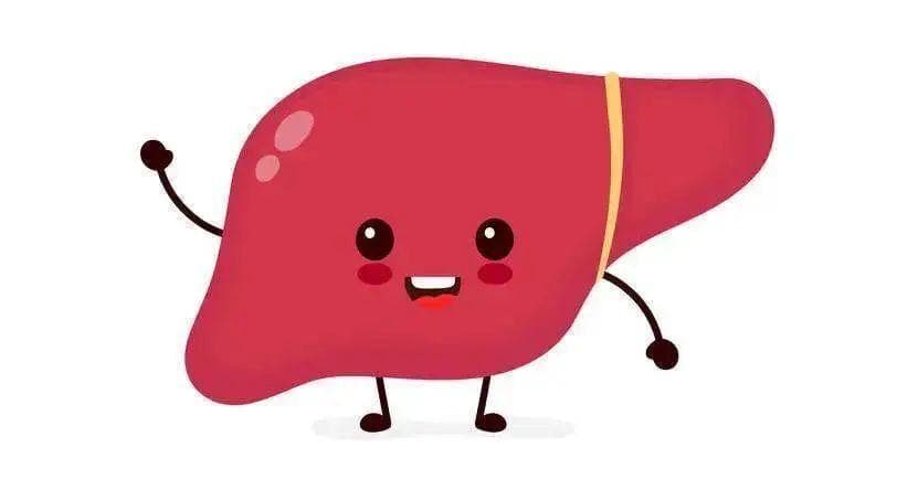 中重度脂肪肝，做好这5点比吃药更重要！