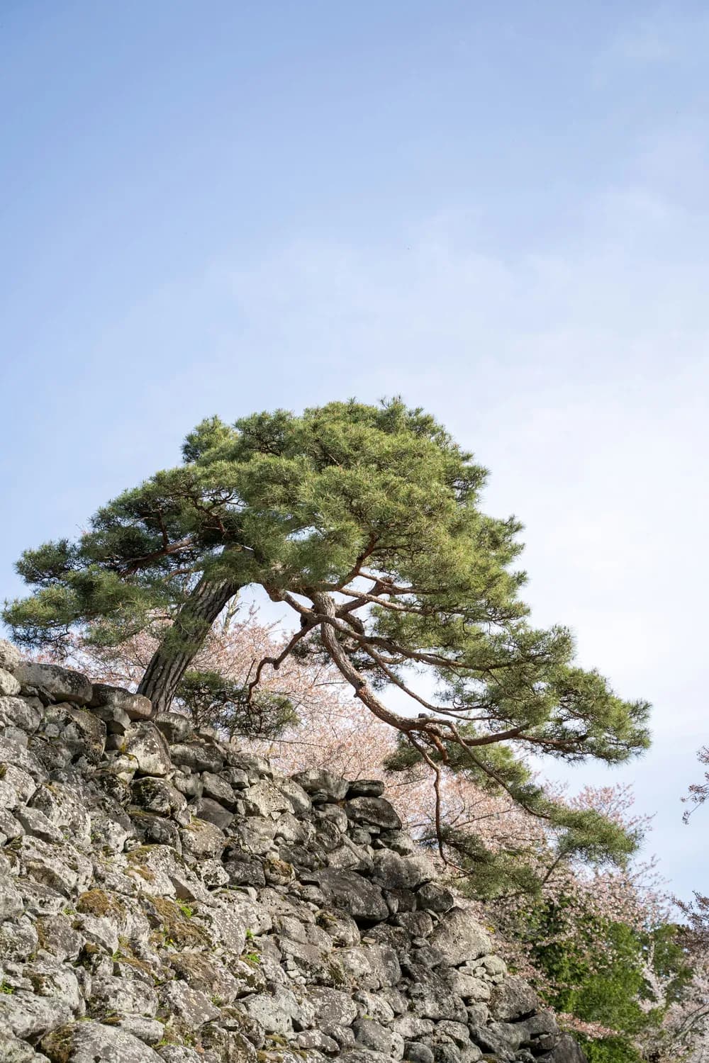 黄山宏村，安徽必打卡景点