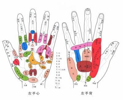 手掌穴位图解部位和穴位功能介绍