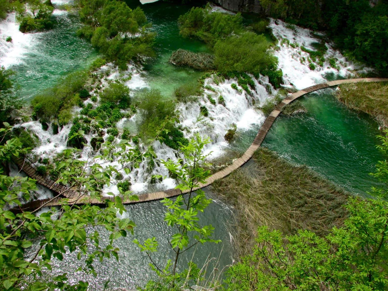 小七孔景区旅游全攻略：地球绿宝石的游玩指南