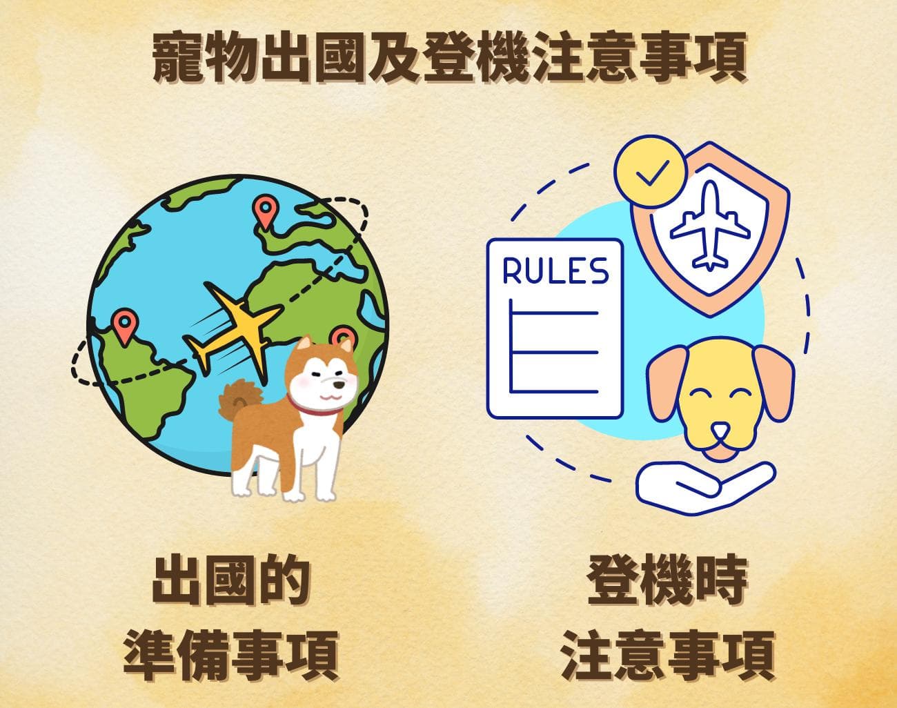 如何带毛孩飞向世界：宠物搭机攻略看这一篇就足够了！