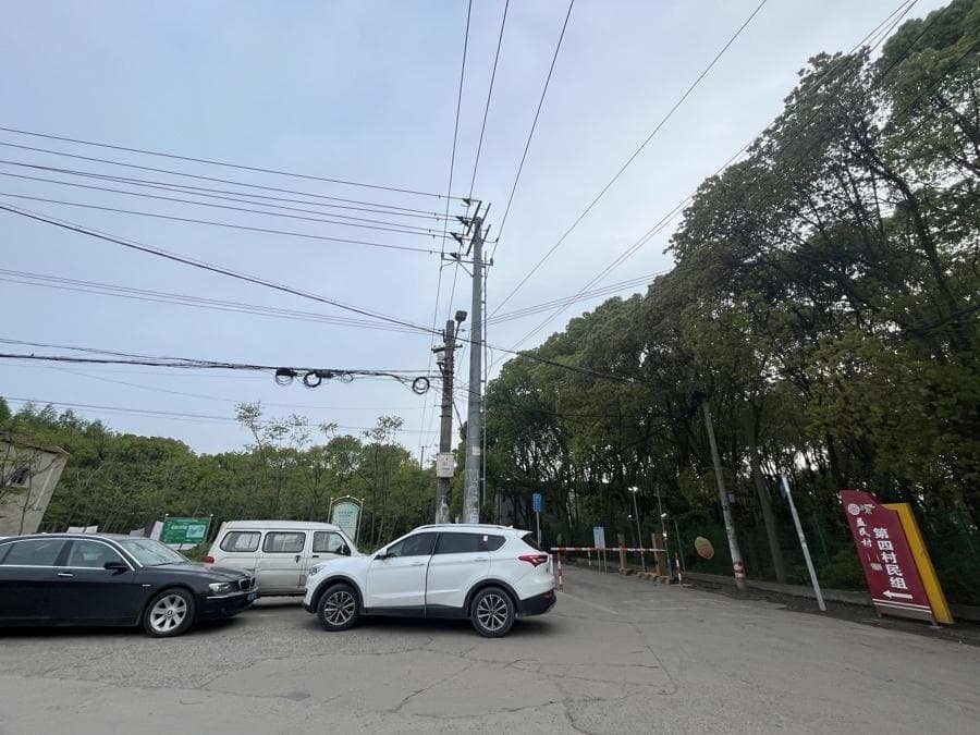 上海部分农村引入物业管理后，车辆纷纷改停小树林？该怪素质欠缺还是管理粗放