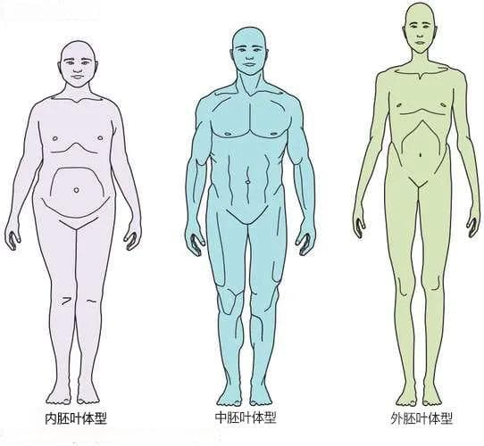 人体血容量究竟是怎么算出来的？