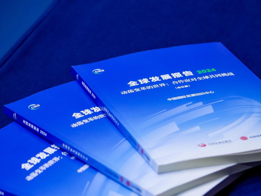 《全球发展报告2024》聚焦合力应对全球性挑战