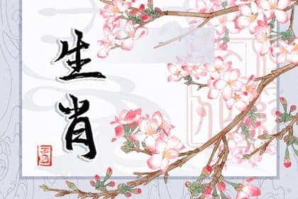 属猴和属龙的婚配如何？从传统文化看猴龙配对