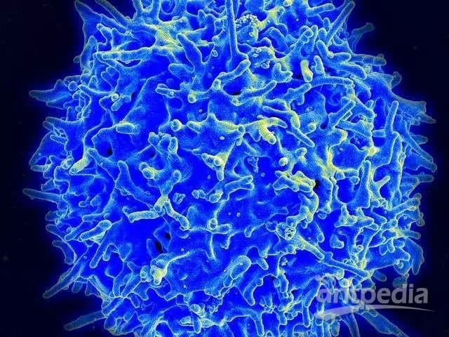 Nature子刊两连发，重磅揭秘CAR-T疗法毒性控制机制！