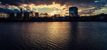 深圳仙湖植物园：城市中的绿洲，心灵的栖息地