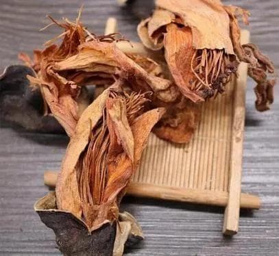 清热利湿，凉血解毒——木棉花