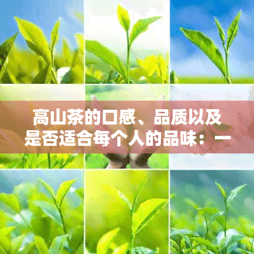 高山茶的口感、品质以及是否适合每个人的品味：一次全面的解析