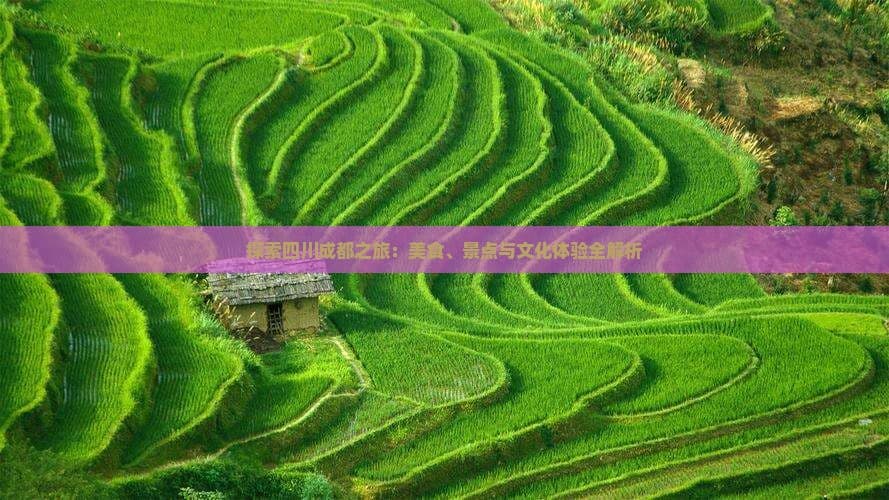 成都旅游攻略：美食、景点与文化体验全解析
