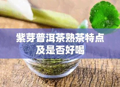 紫芽普洱茶熟茶特点及是否好喝
