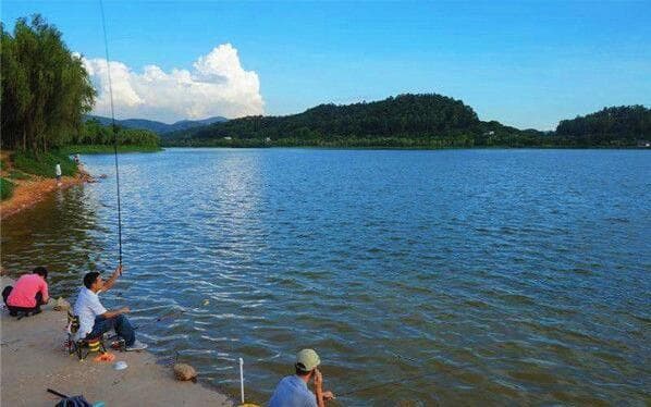 夏季钓鱼技巧大揭秘：从时段到钓位的全方位指导