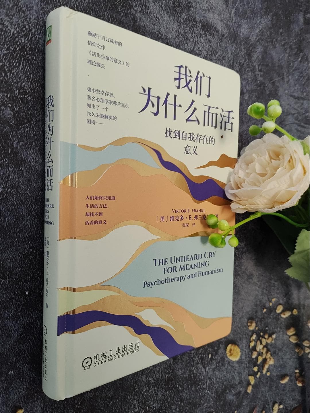 生命意义之问：我们究竟为何而活？