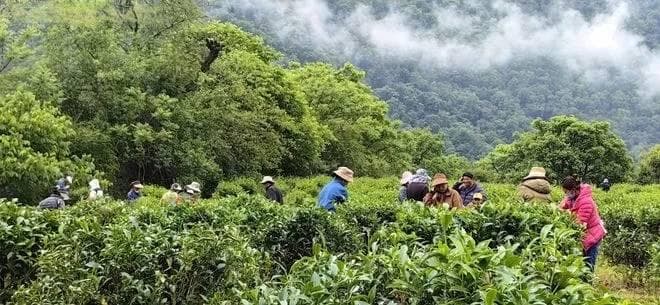农业产业链路径如何创新？（附路径）