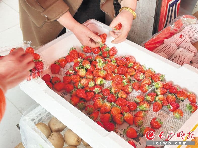 长沙“明星水果”身价大降：草莓价格腰斩，车厘子进入销售尾声