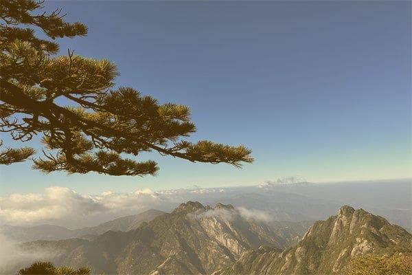伤官生财格的命有什么特征