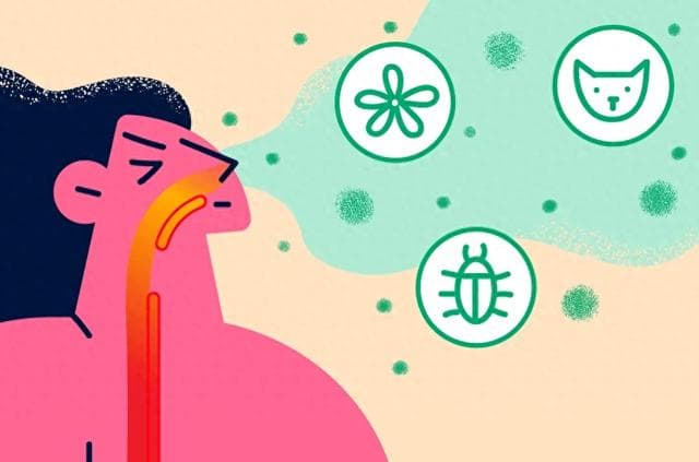 科普｜过敏：身体的"小叛逆"