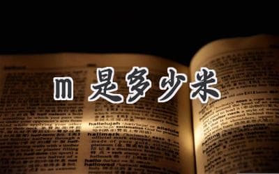 究竟是几米？解开长度单位 "m" 的秘密