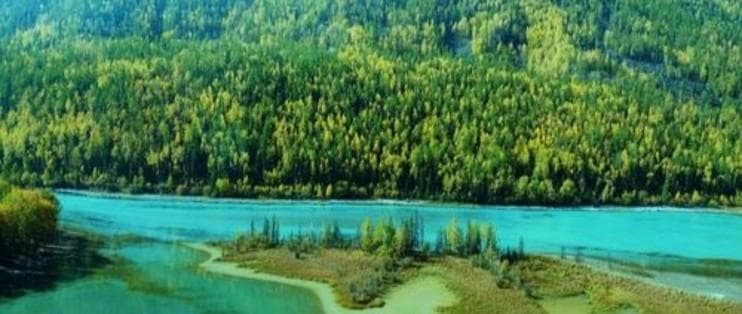 全球生物多样性热点秦岭：保护成效显著，需应对三大威胁