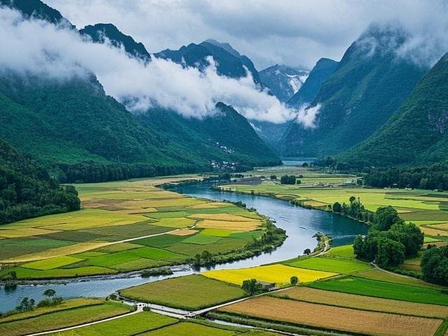 2025年属虎人家居风水摆件的选择与摆放