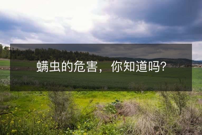 螨虫的危害，你知道吗？