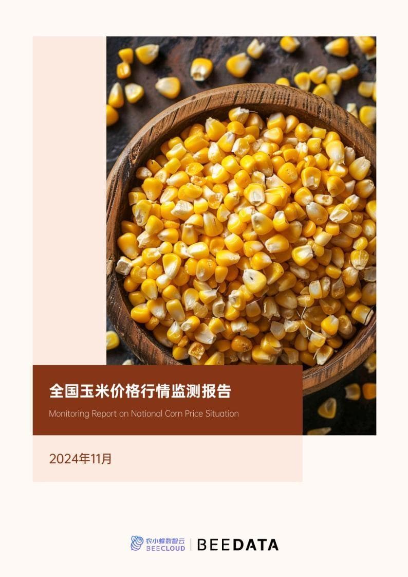 全国玉米价格行情监测月报（2024年11月）