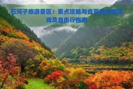 石河子旅游景区：景点攻略与自驾游路线及自由行指南