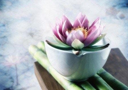 塔罗牌如何洗牌、切牌和抽牌