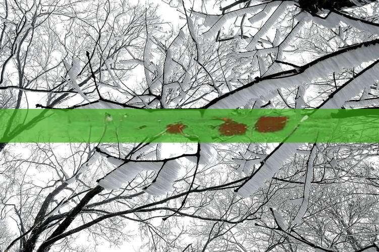 乐东九所山：海南最大热带雨林胜地，保留千年黎族文化