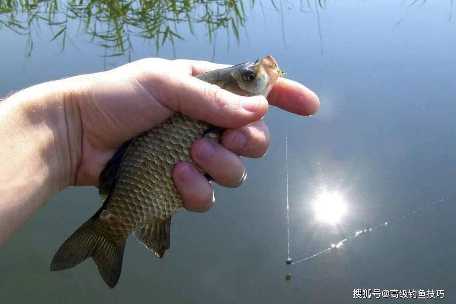 气温对钓鱼效果的影响：四个关键指标参数详解