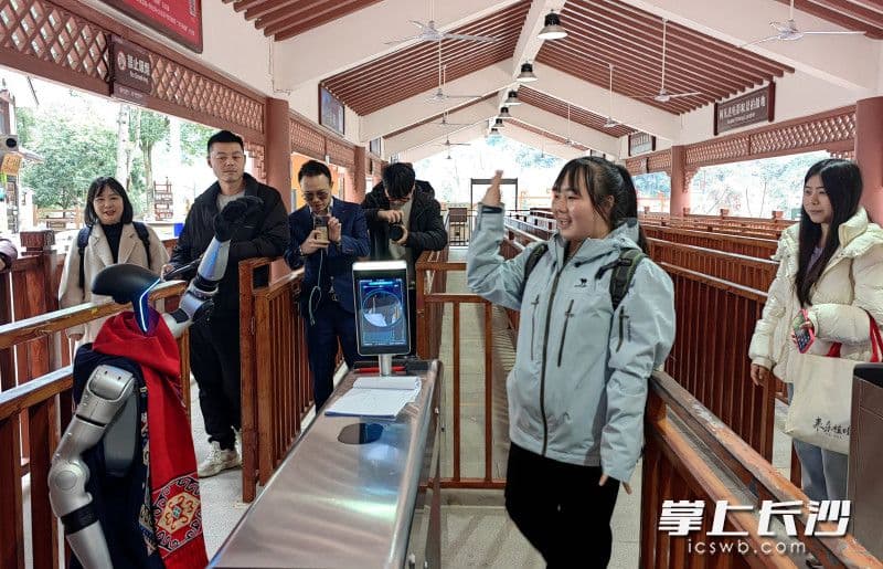 人形机器人走进张家界景区，科技与文旅融合释放新活力