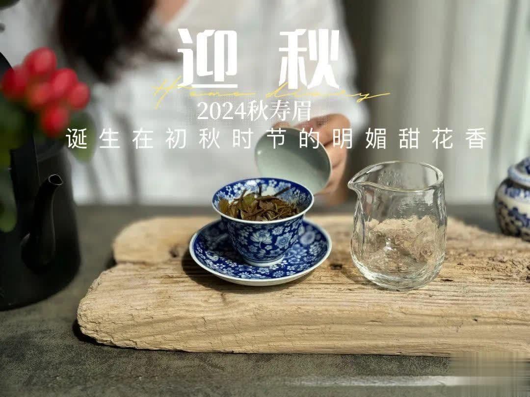 公道杯的妙用：好用与不好用的区别