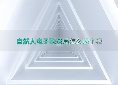 自然人电子税务局怎么退个税