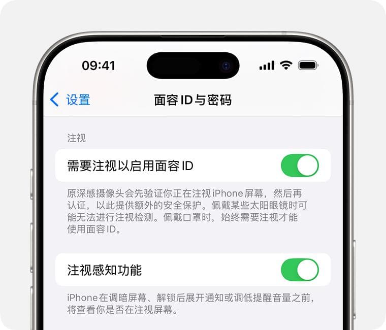 在 iPhone 或 iPad Pro 上打开或关闭注视感知功能