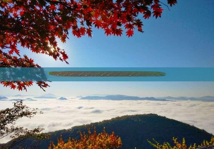 疆娓视角：海南至大陆轮渡畅游攻略及特色路线指南