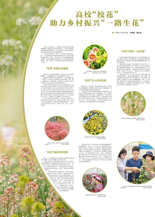 高校"校花" 助力乡村振兴"一路生花"