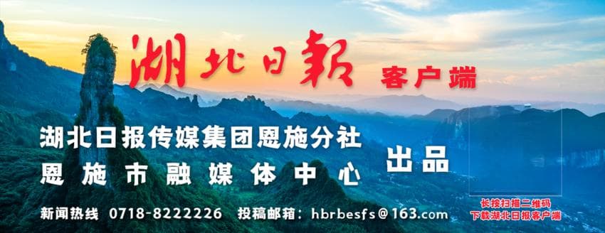 咬文嚼字：“蛋挞”到底是读“dàn tà”还是“dàn tǎ”？
