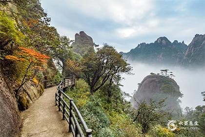 日柱五鬼：中国传统命理学中的命运密码