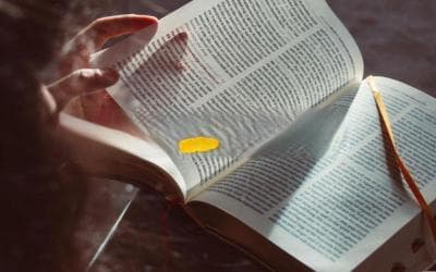 巧妙运用“So That”：让你的文字更清晰、更有力