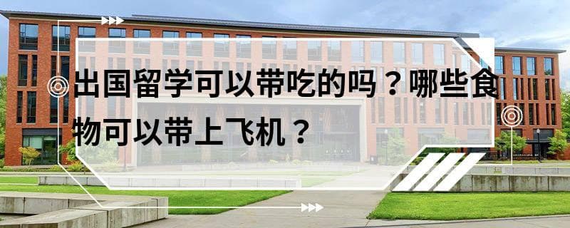 出国留学可以带吃的吗？哪些食物可以带上飞机？