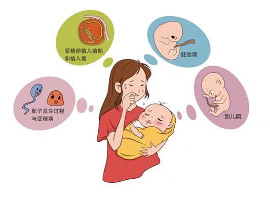 预防出生缺陷，生命健康启航