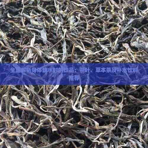 身体缺水时喝什么？茶类饮品的补水效果全解析