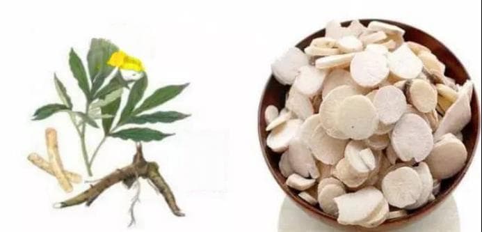 白芍总苷胶囊在皮肤科的应用