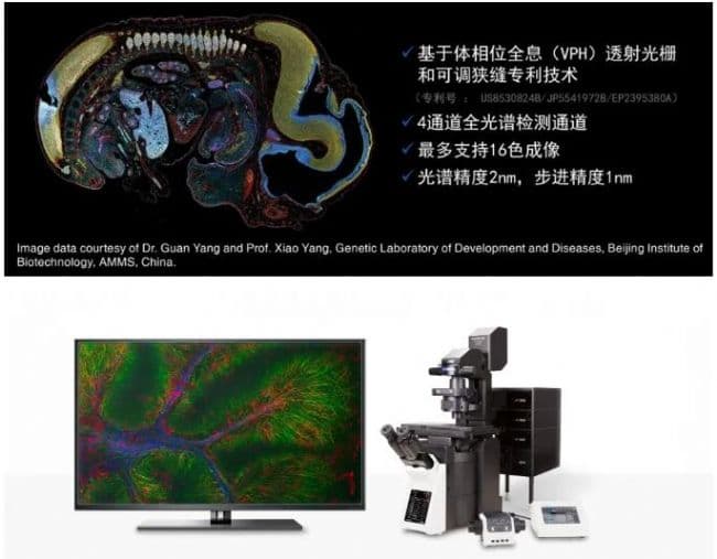 EVIDENT共聚焦/超分辨助力Nature发文揭示应激颗粒亚型鉴定范式