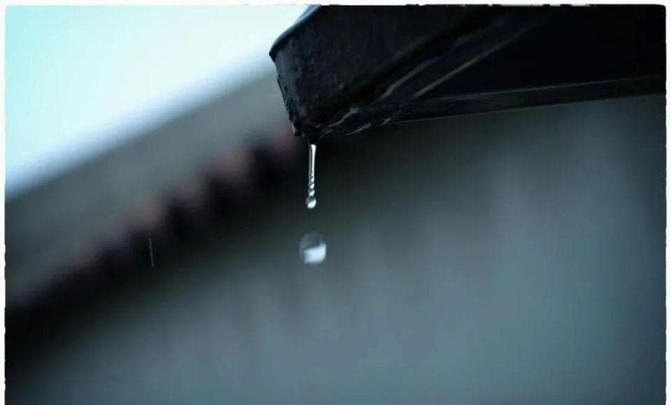 用好这个技巧，你也能在春季拍出发好看浪漫的雨景照片