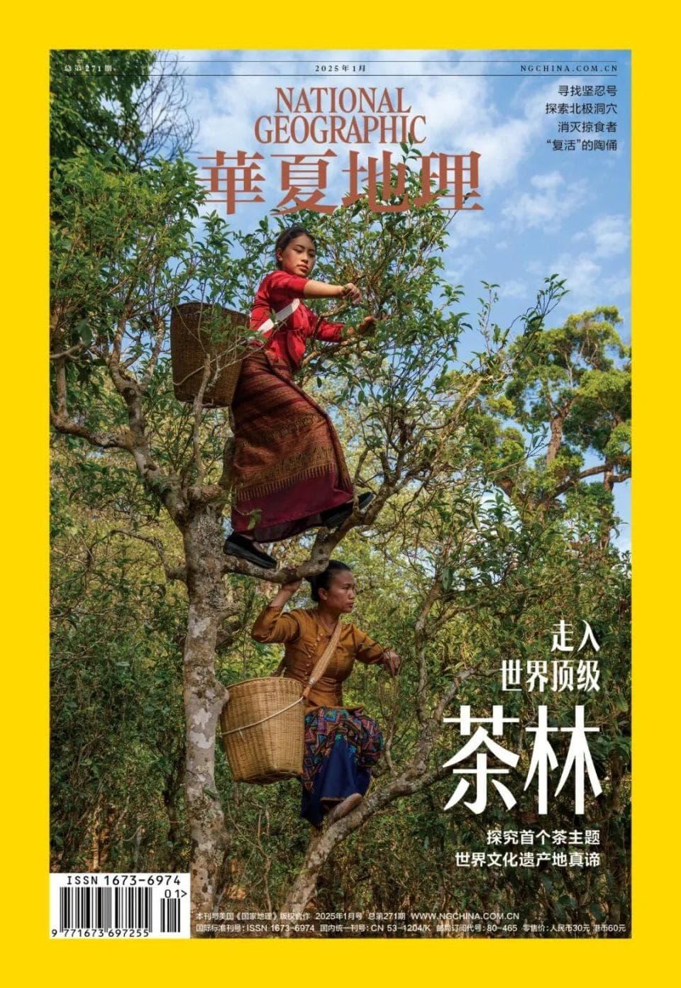 走进世界顶级茶林｜《华夏地理》25年1月刊