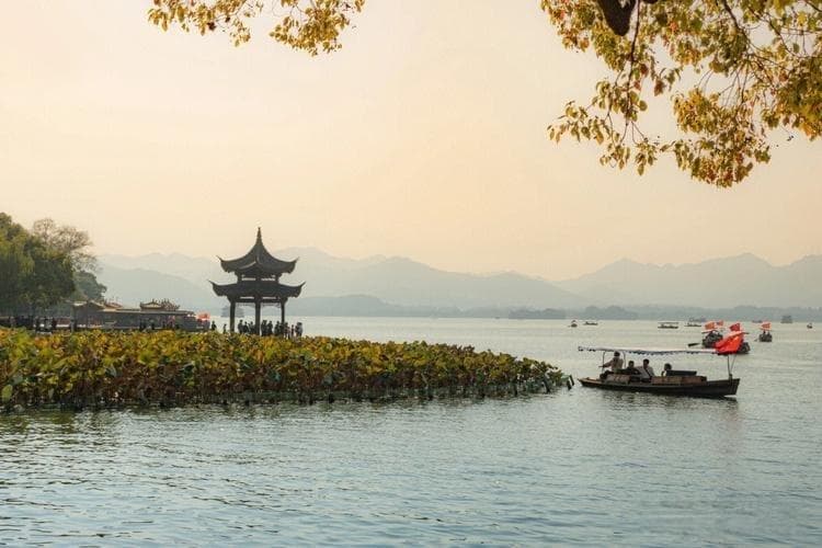植物生长周期与光照关系研究